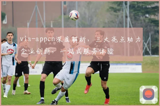 via-appcn深度解析，三大亮点助力企业创新，一站式服务体验