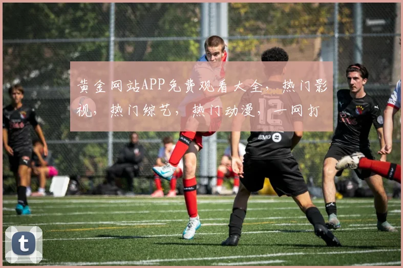 黄金网站APP免费观看大全，热门影视，热门综艺，热门动漫，一网打尽
