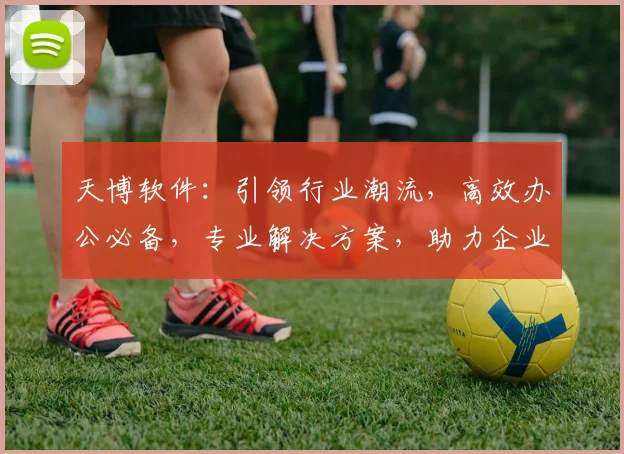 天博软件：引领行业潮流，高效办公必备，专业解决方案，助力企业腾飞，创新与实力并行。