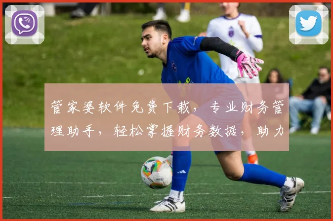管家婆软件免费下载，专业财务管理助手，轻松掌握财务数据，助力企业高效运营，两大功能亮点不容错过
